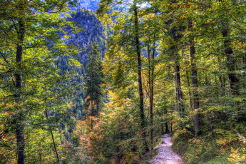 Картинка природа дороги тракт