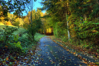 Картинка природа дороги тракт