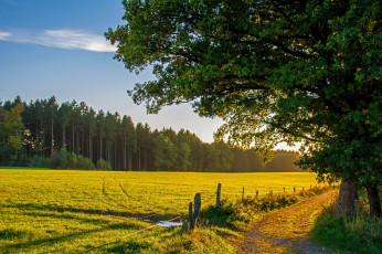 Картинка природа дороги тракт