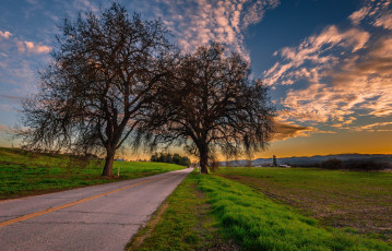 Картинка природа дороги тракт