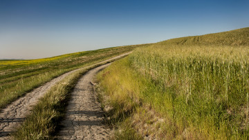 Картинка природа дороги тракт