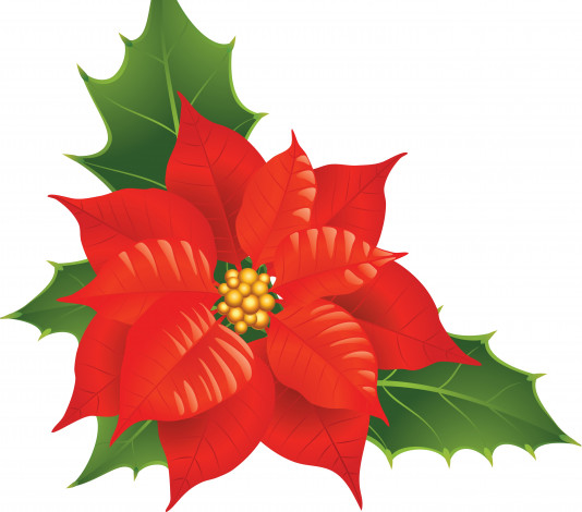 Обои картинки фото векторная графика, цветы , flowers, цветок, лепестки, фон