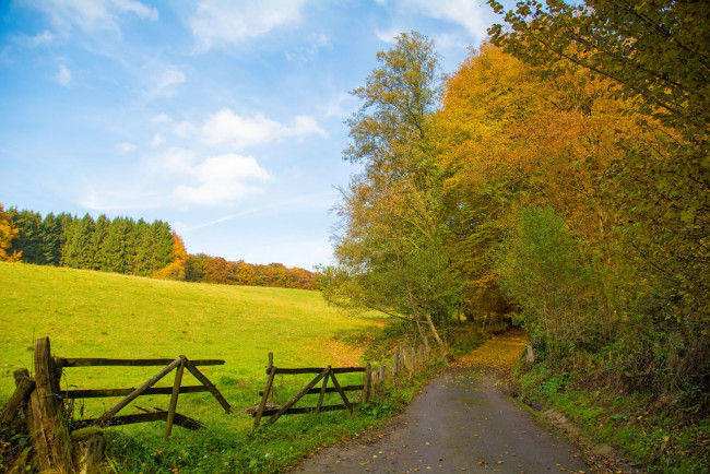 Обои картинки фото природа, дороги, тракт