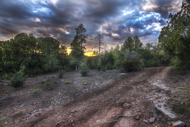 Обои картинки фото природа, дороги, тракт