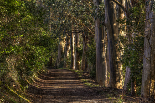 Обои картинки фото природа, дороги, тракт