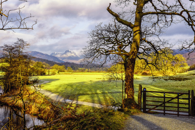 Обои картинки фото природа, дороги, тракт