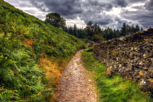 Обои картинки фото природа, дороги, тракт