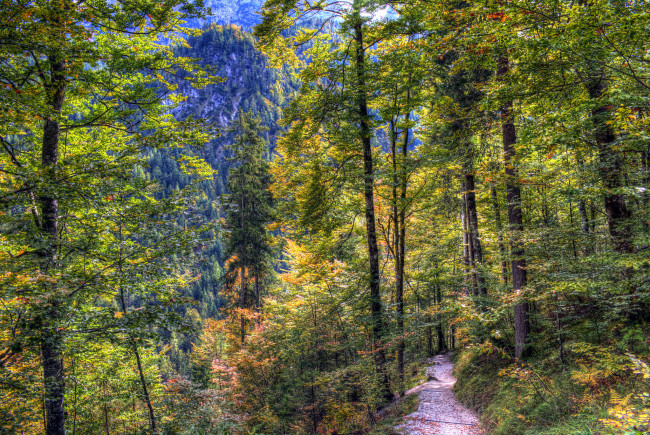 Обои картинки фото природа, дороги, тракт