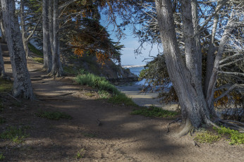 Картинка природа пейзажи простор