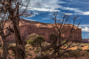 Картинка природа пустыни простор