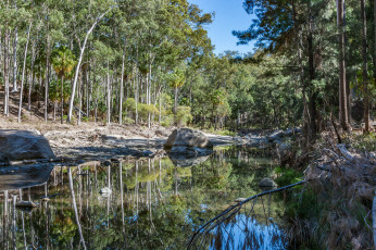 Картинка природа реки озера лес река