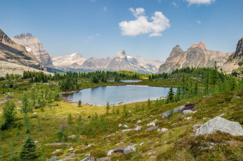 Картинка природа реки озера лес река