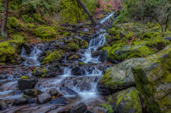 Картинка природа реки озера простор