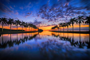 Картинка природа тропики простор