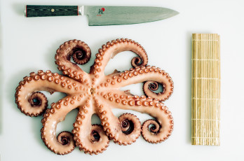 Картинка еда рыба +морепродукты +суши +роллы осьминог