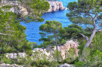 Картинка природа побережье море берег