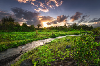 Картинка природа реки озера лес река