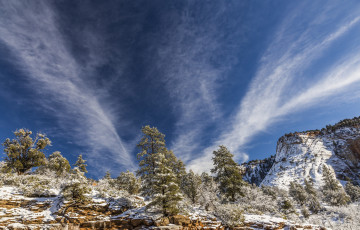 Картинка природа пейзажи простор