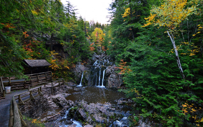 Обои картинки фото природа, реки, озера, лес, река