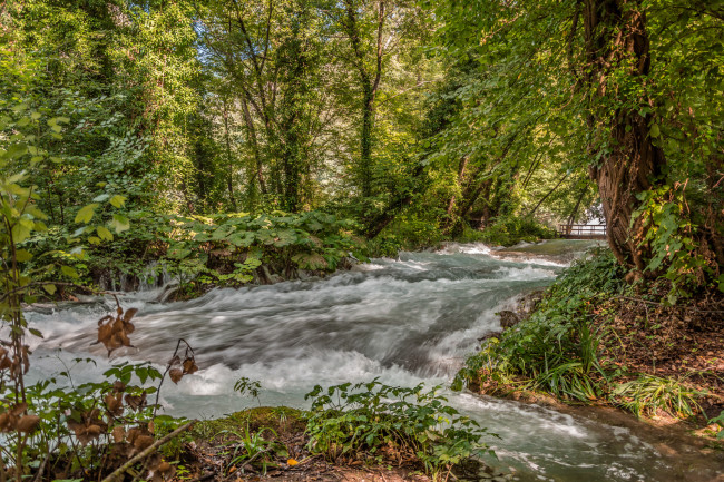 Обои картинки фото природа, реки, озера, лес, река