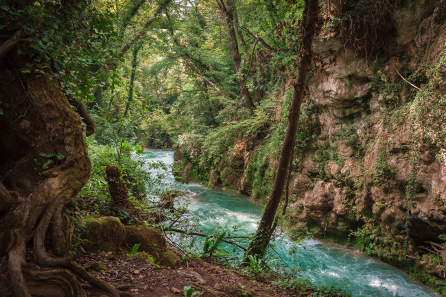 Обои картинки фото природа, реки, озера, лес, река