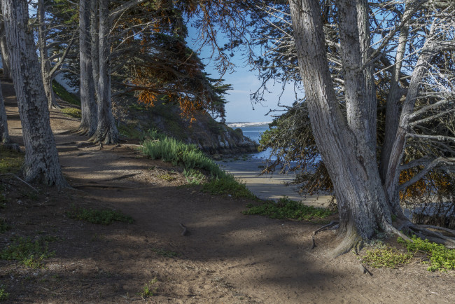 Обои картинки фото природа, пейзажи, простор