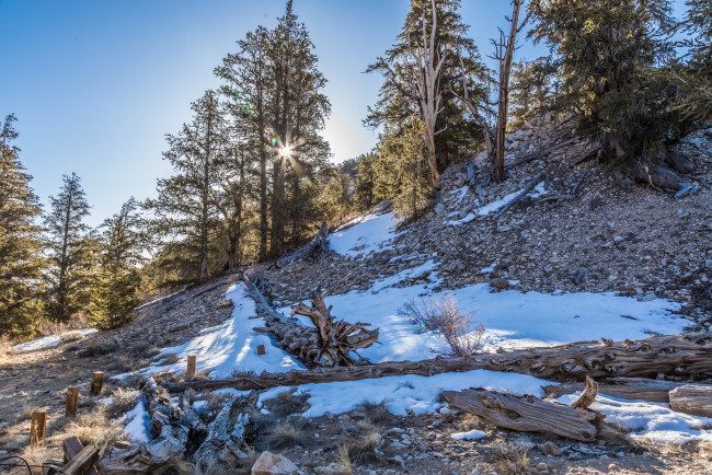 Обои картинки фото природа, пейзажи, простор