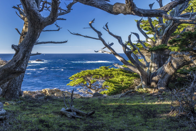 Обои картинки фото природа, побережье, простор