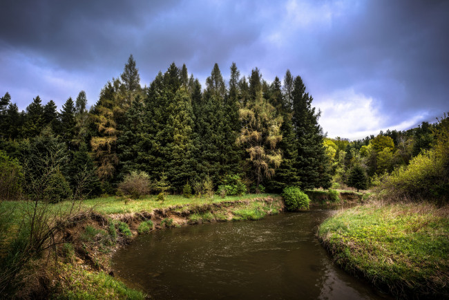 Обои картинки фото природа, реки, озера, лес, река