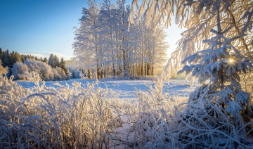 Картинка природа зима снег сугробы