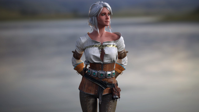 Обои картинки фото видео игры, the witcher 3,  wild hunt, девушка, фон, униформа