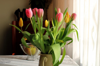 Картинка цветы тюльпаны букет бутоны