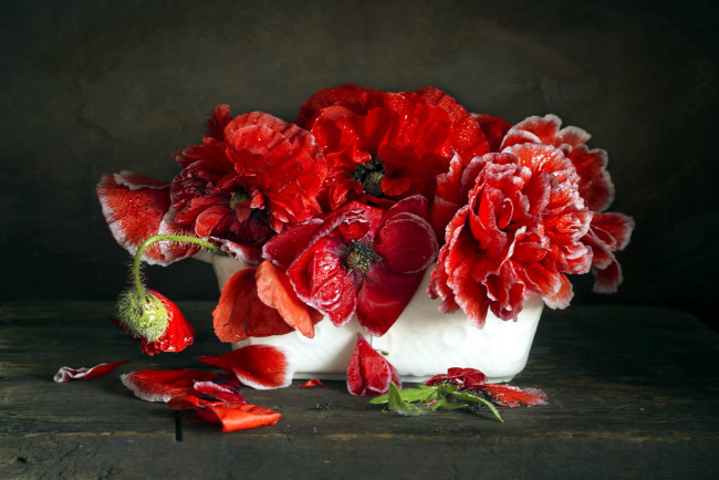 Обои картинки фото цветы, маки, букет, красные