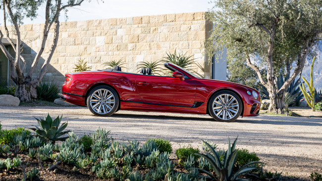 Обои картинки фото 2022 bentley continental gt speed convertible, автомобили, bentley, continental, gt, speed, convertible, бэнтли, красный, кабриолет
