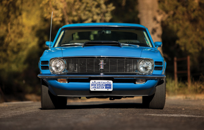 Обои картинки фото автомобили, mustang