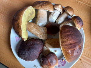 Картинка еда грибы +грибные+блюда боровики