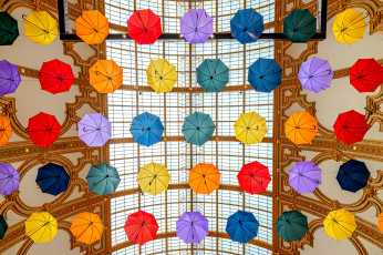 Картинка разное сумки +кошельки +зонты зонты