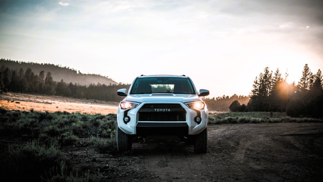 Обои картинки фото toyota tacoma, автомобили, toyota, белый, дорога, грунтовка, горы, лес