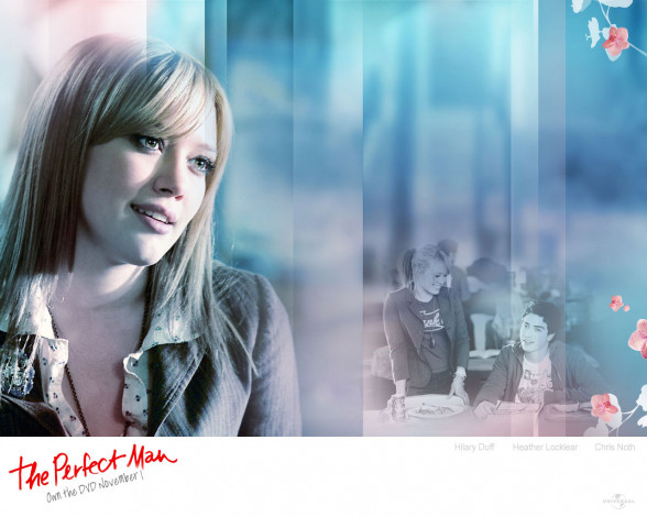 Обои картинки фото кино, фильмы, the, perfect, man