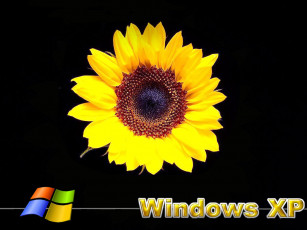 Картинка компьютеры windows xp