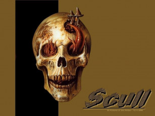 Картинка разное компьютерный дизайн