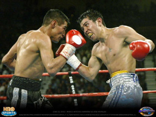 Картинка спорт бокс