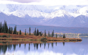 Картинка природа