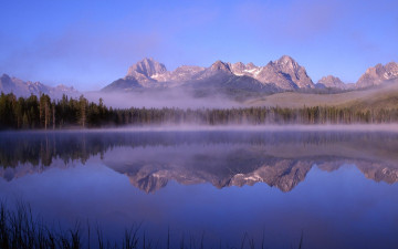 Картинка природа