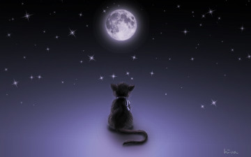 Картинка рисованные животные коты