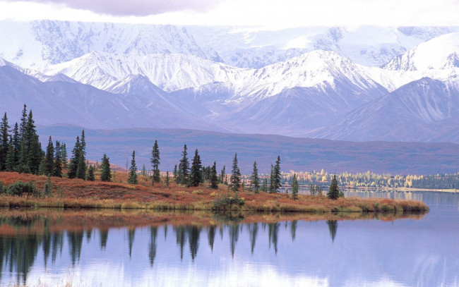 Обои картинки фото природа