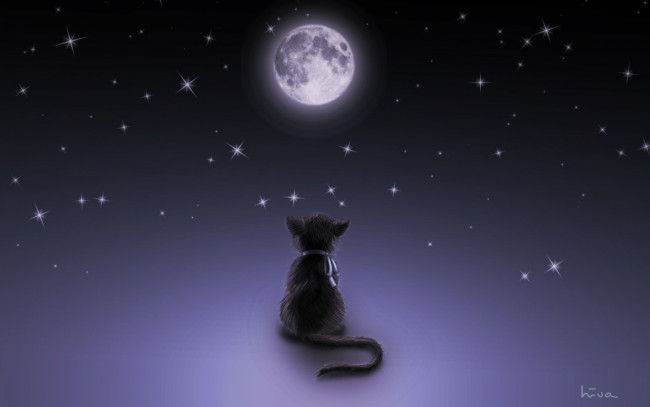 Обои картинки фото рисованные, животные, коты