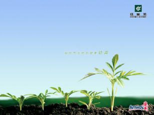 Картинка бренды amway