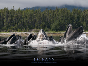 Картинка oc& 233 ans кино фильмы