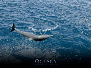 Картинка oc& 233 ans кино фильмы